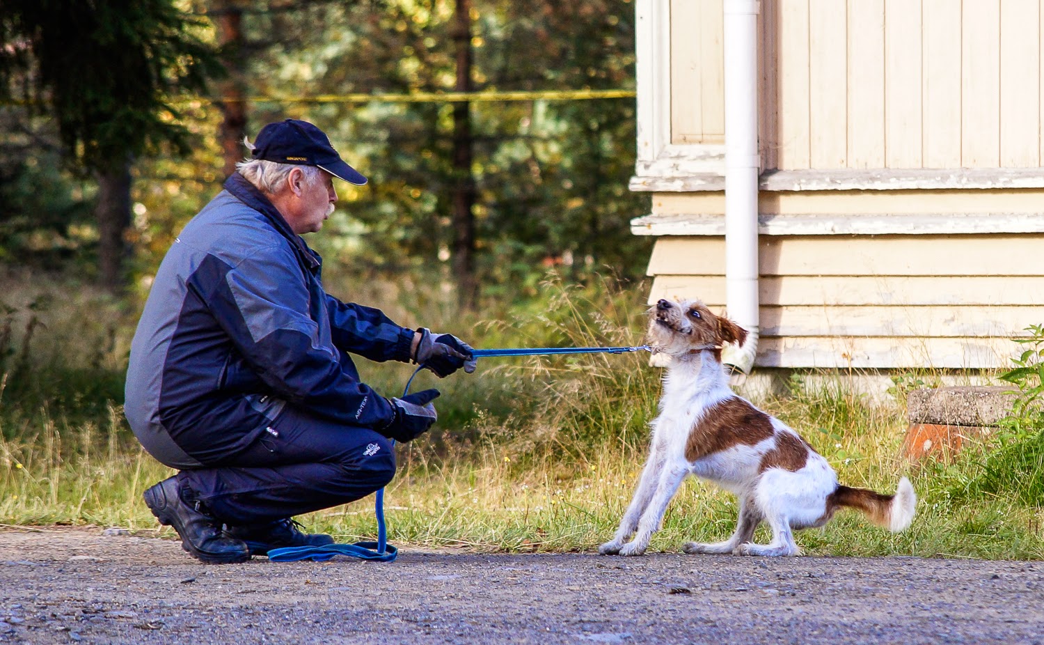 Kampi Vipu Ja Haka Haka Luonnetestiss 