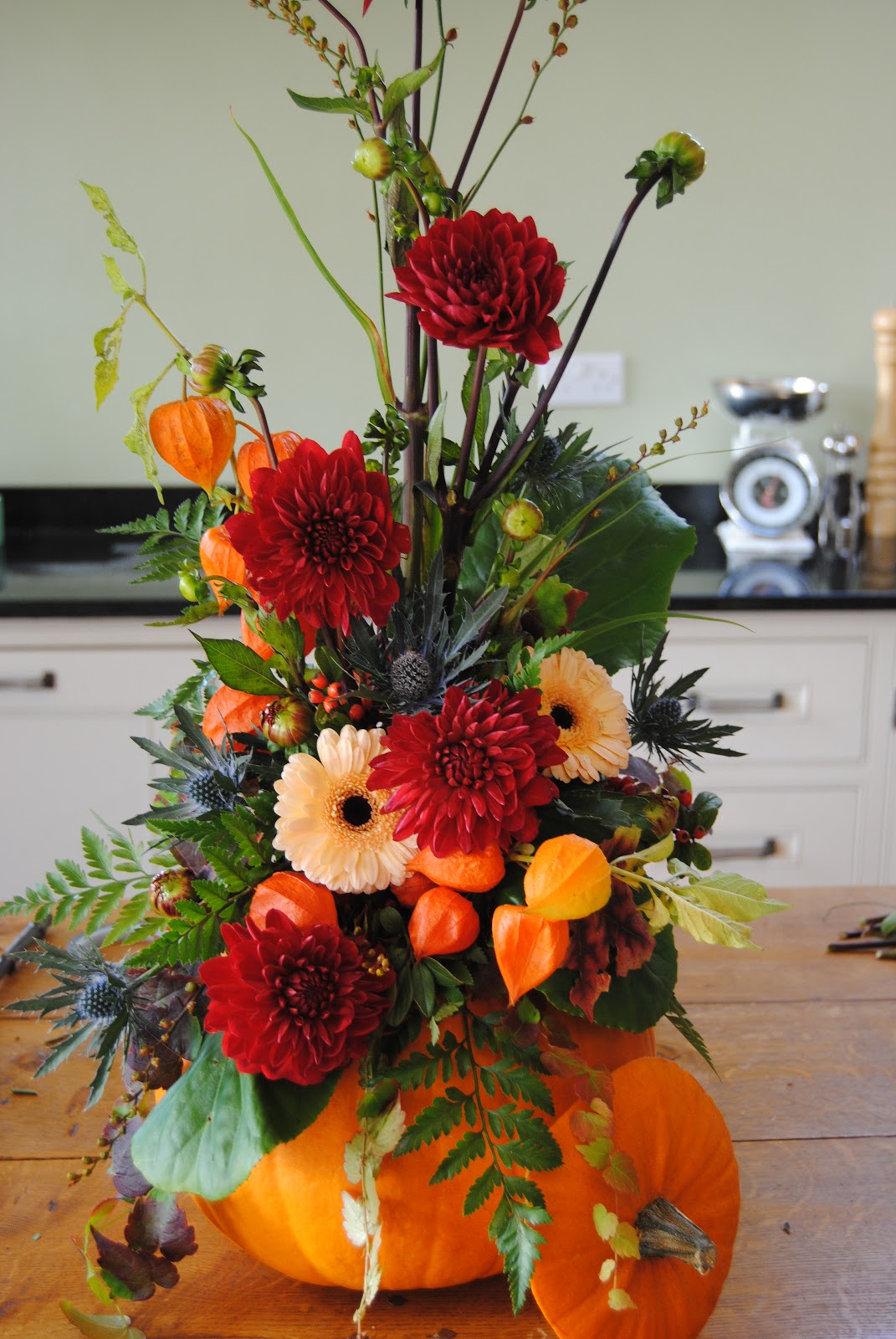 Across the Pondlife Flower arranging