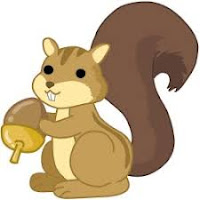 Squirrel This is an image of squirrel