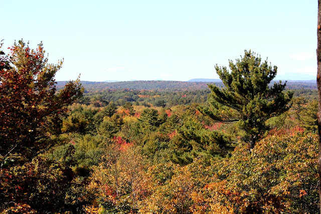 Autumn view from top of Hedgehog Mountain Autumn view from top of Hedgehog Mountain