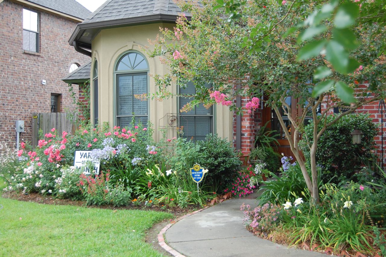 Jeannie's Fairy Rose Louisiana Garden Yard of the Month