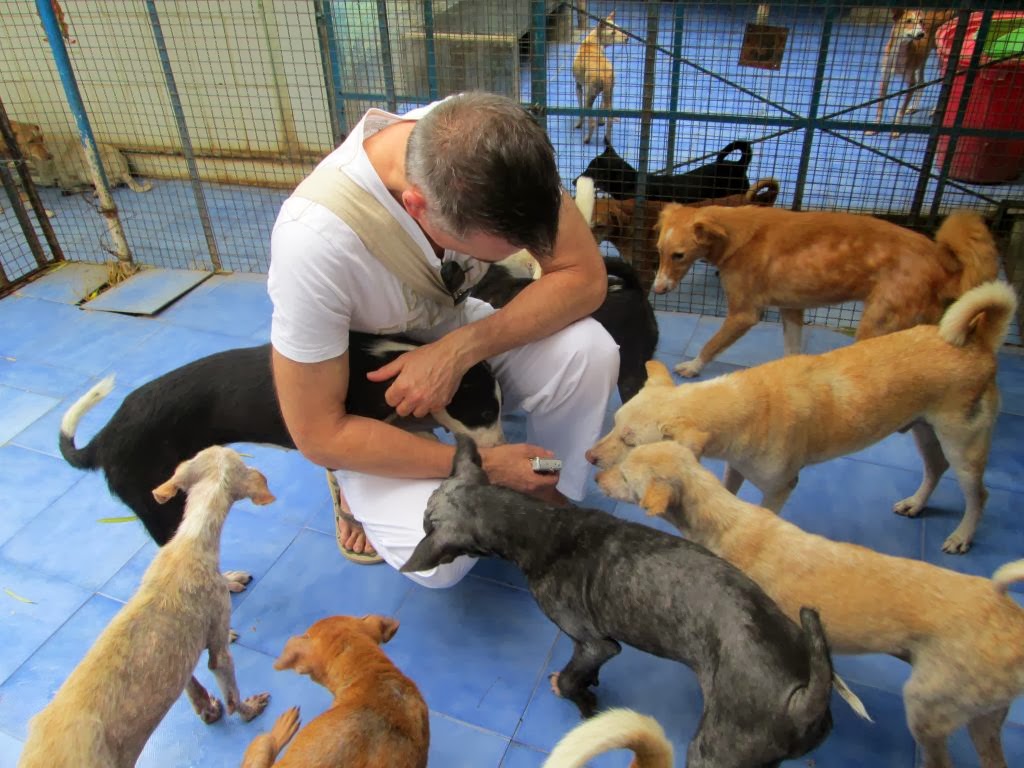 Visit to Animal Shelter - ARUNACHALA GRACE