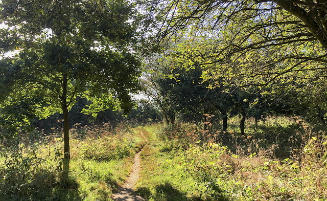 Walk round the Hawkwood Estate 03, 30 August 2016. Walk round the Hawkwood Estate 03, 30 August 2016.