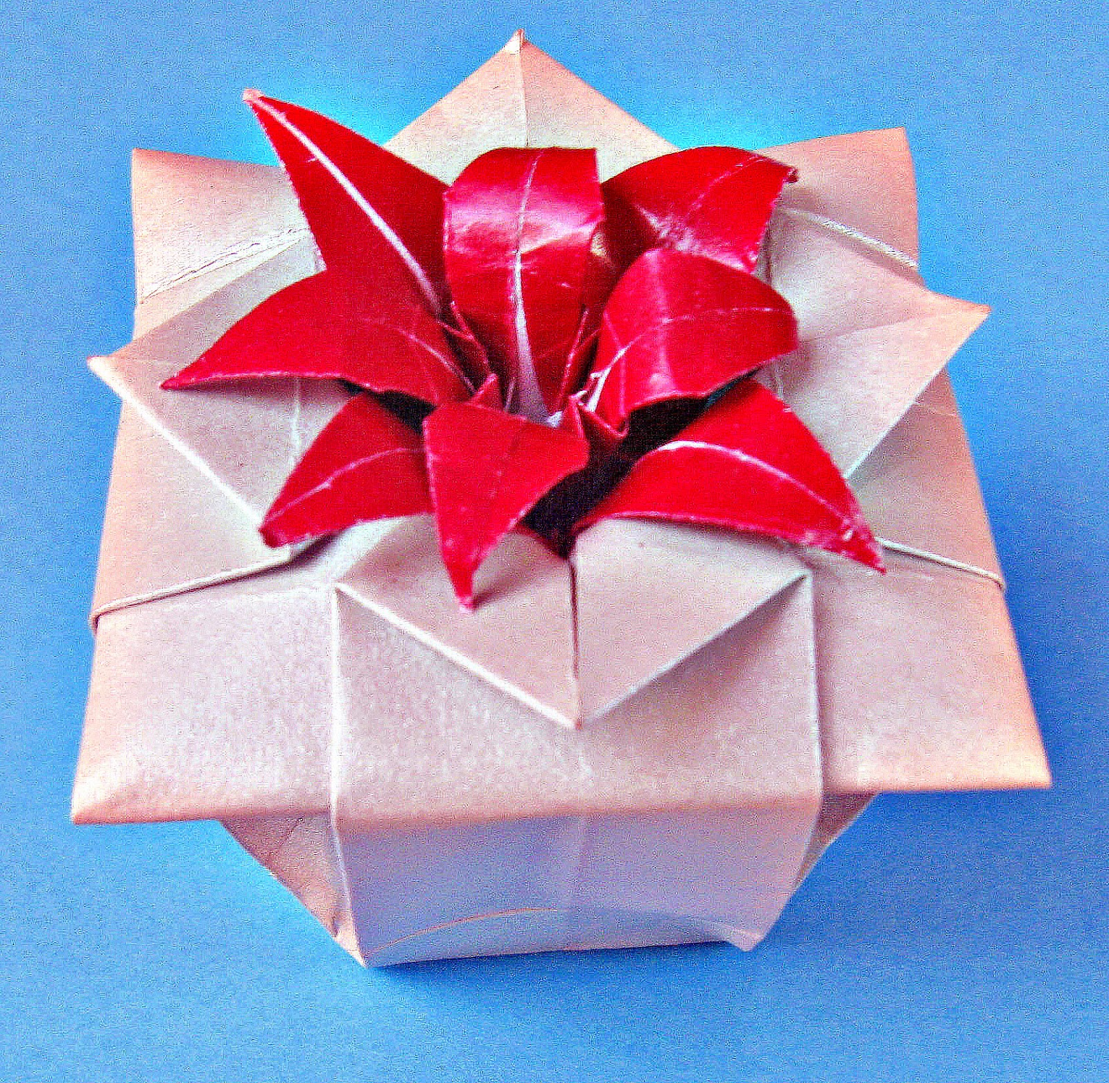Life is Beautiful.. When you live with a purpose... Origami