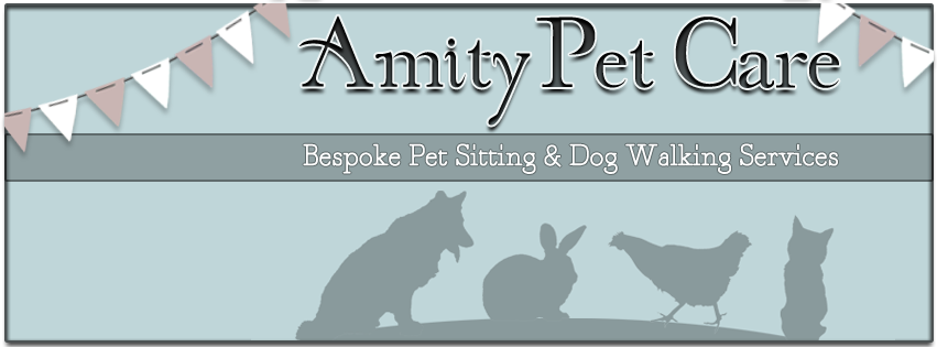 Amity Pet Care Blog
