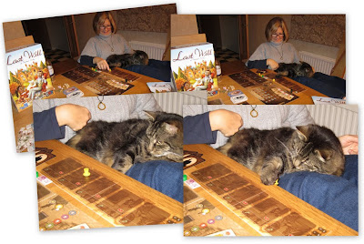Last Will - The cat was really getting into the game!