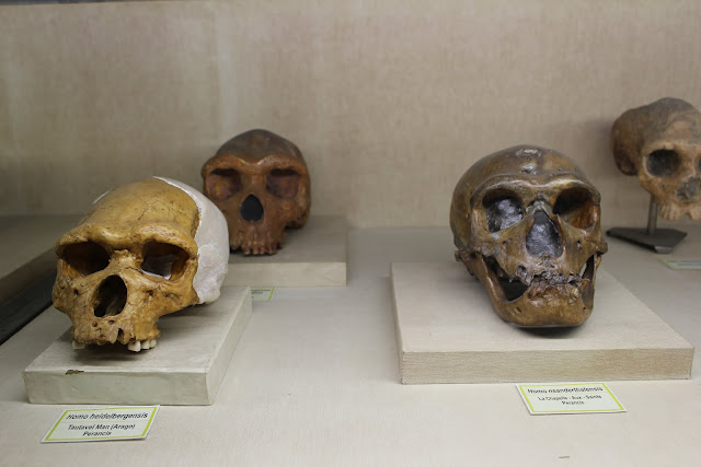 Museum Geologi Yang Berada Di Kota Bandung Museum Geolongi yaitu sebuah museum yang sudah menjadi bangunan bersejarah yang berada d Museum Geologi Yang Berada Di Kota Bandung