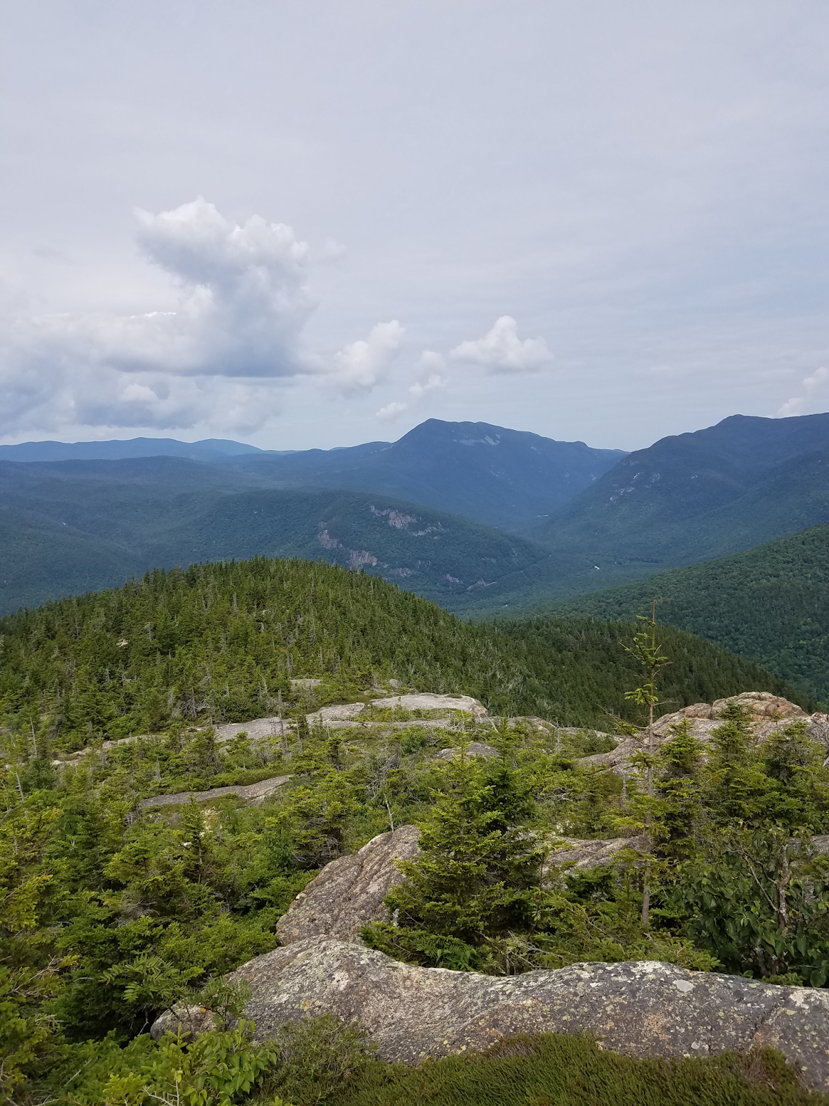 BuddhaMouse Blog mt crawford