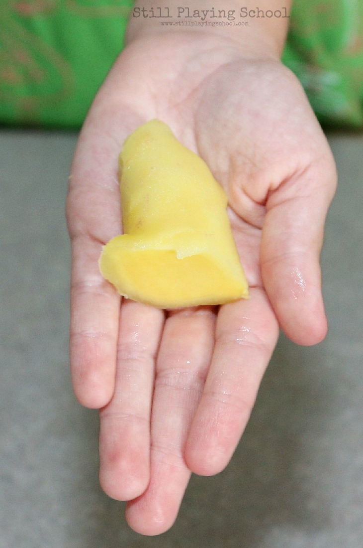 Lemon Ginger Ice Cubes for Refreshing Infused Water Still Playing School