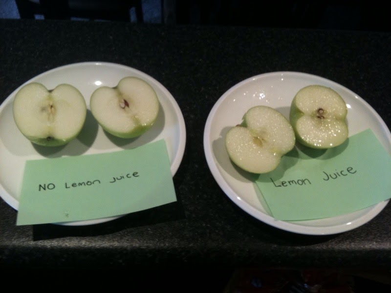 What Do You Do All Day Browning Apple Experiment