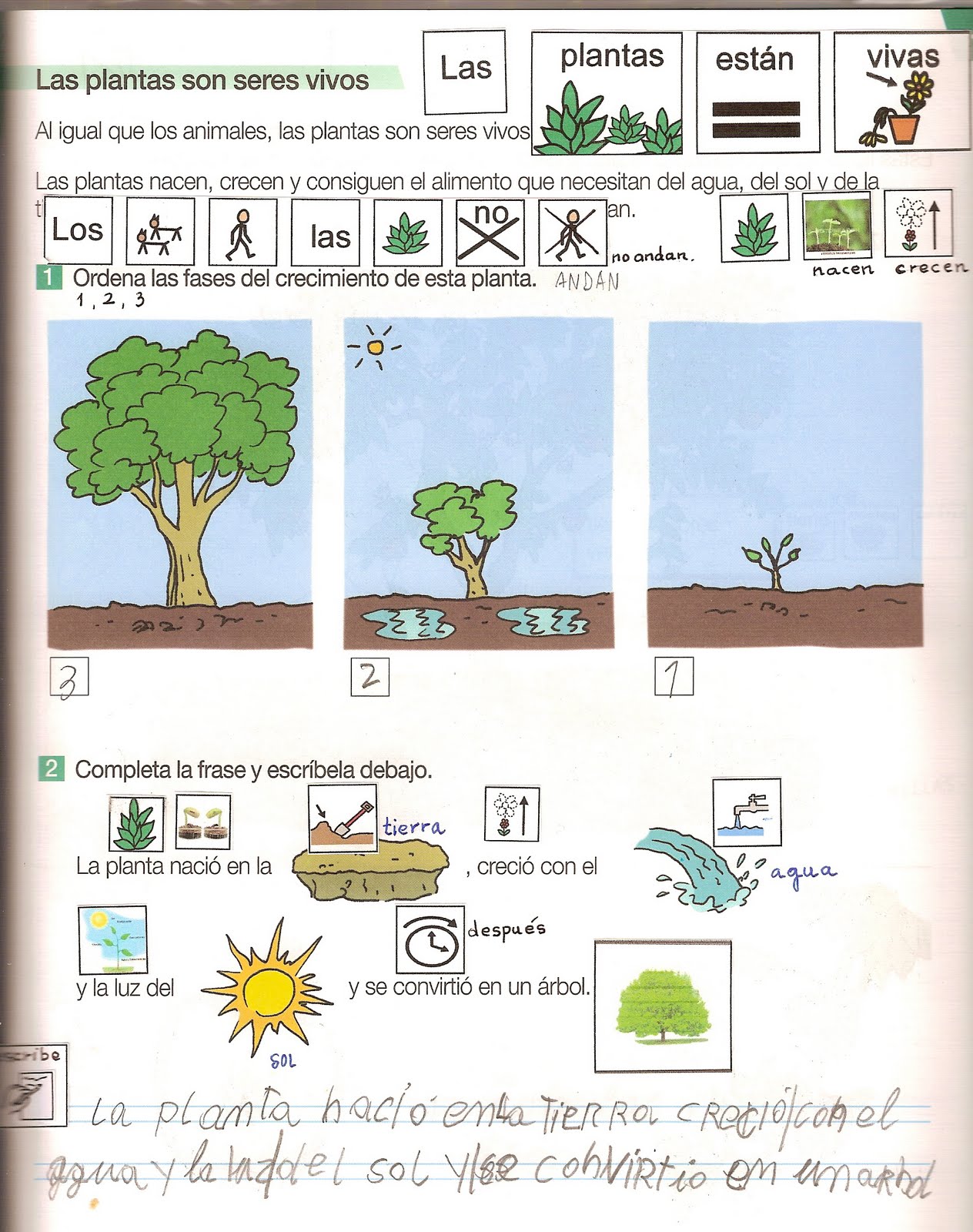 adaptaautismo Las plantas adaptaautismo Las plantas