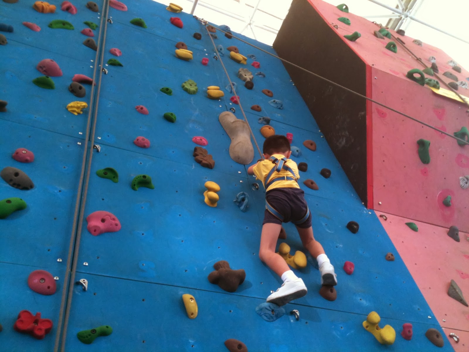 [Review] Rock Climbing The Rock School & Onsight
