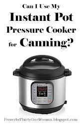 pot instant pressure canning cooker recipes