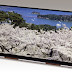 Japan Display, οθόνη 10.1 ιντσών 3840×2160 pixels