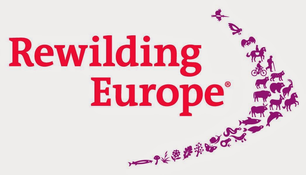 Rewilding Europe