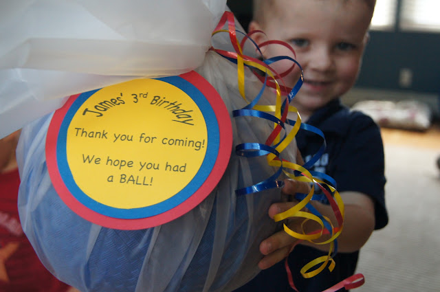 Ball_pit_birthday_party favors