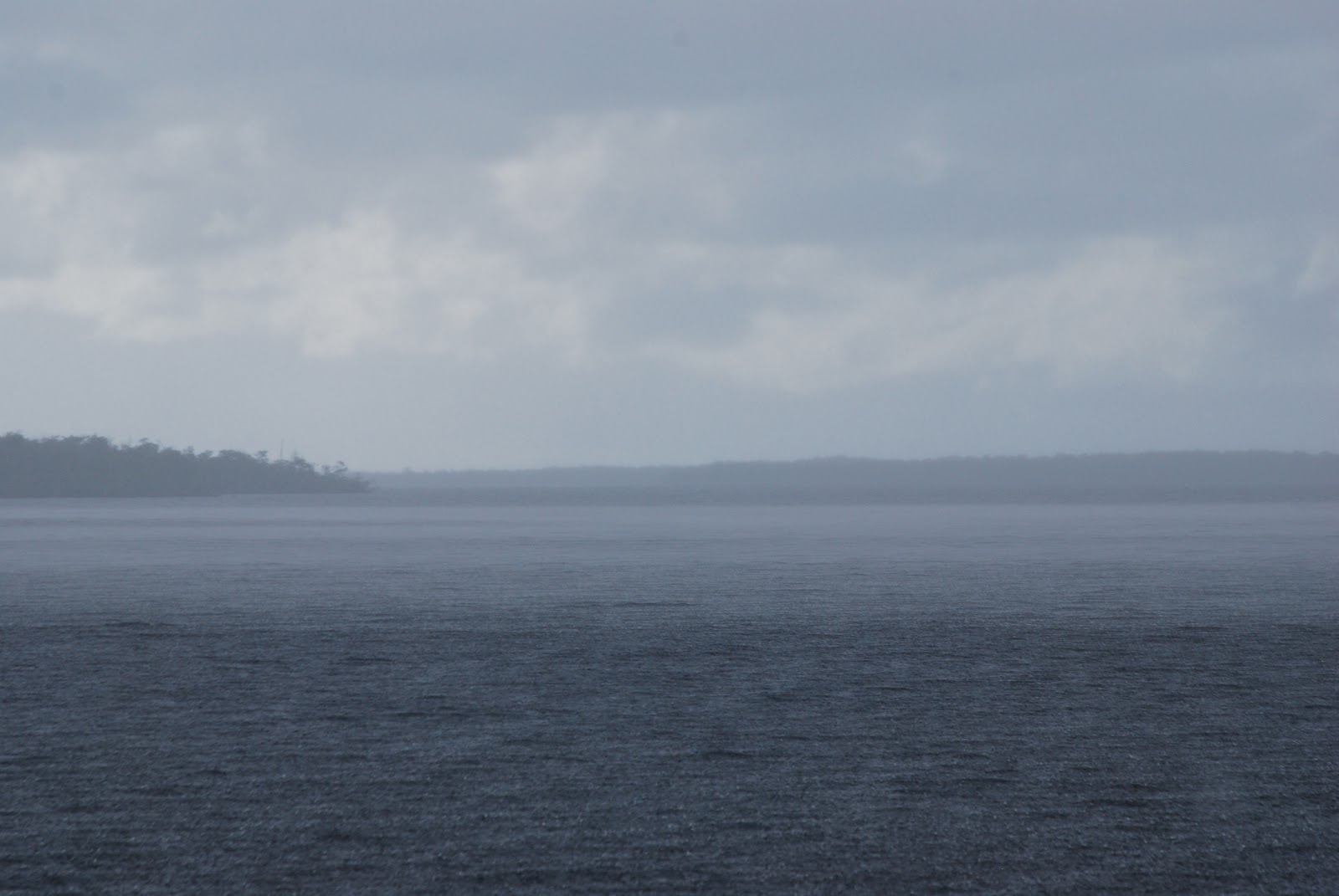 Litton S Fishing Lines Whitewater Bay Coot Florida Everglades Whitewater Bay Is Florida S Second Largest Body Of Water To Lake Okeechobee It Extends For Many Miles The Photo I Took Merely Set Against A
