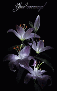 Good morning wallpaper DP GIF images 2019 Good morning wallpaper DP GIF images 2019