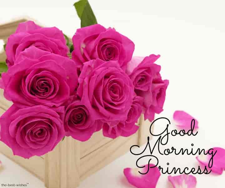 good-morning-princess-with-pink-roses good morning princess with pink roses