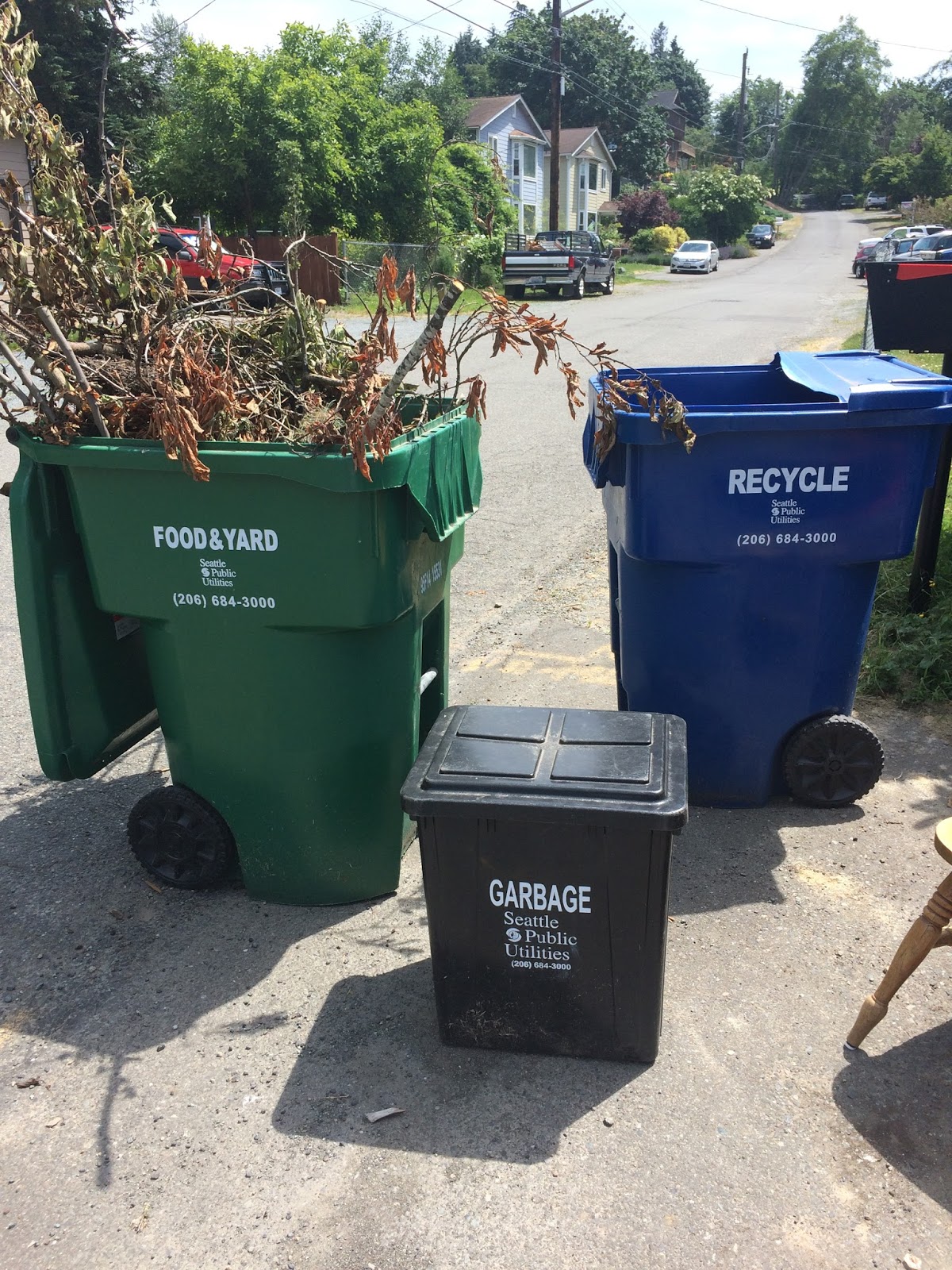 Zero Waste Bystander First Impressions Zero Waste Life in Seattle