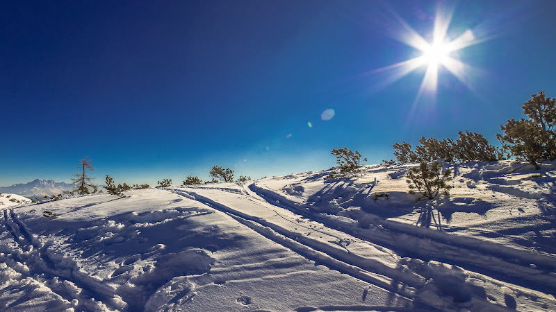 Snowy Magical Landscape