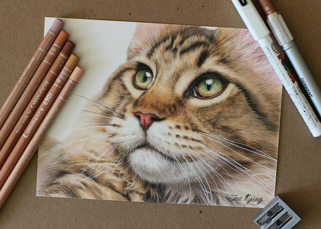 10-Cat-Jae-Kyung-Cute-Kittens-and-Puppies-Drawings-www-designstack-co