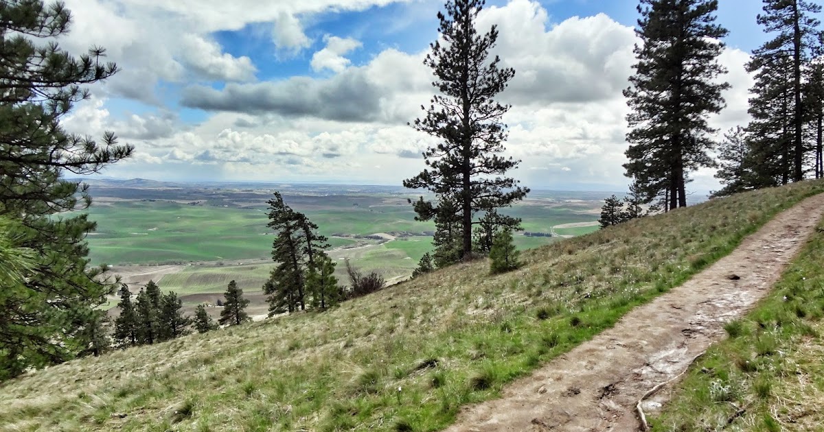Kamiak Butte Trail Series: SCHEDULE