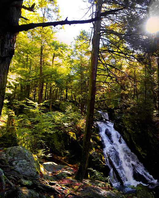 Connecticut Explorer Hiking the Buttermilk Falls Section of the