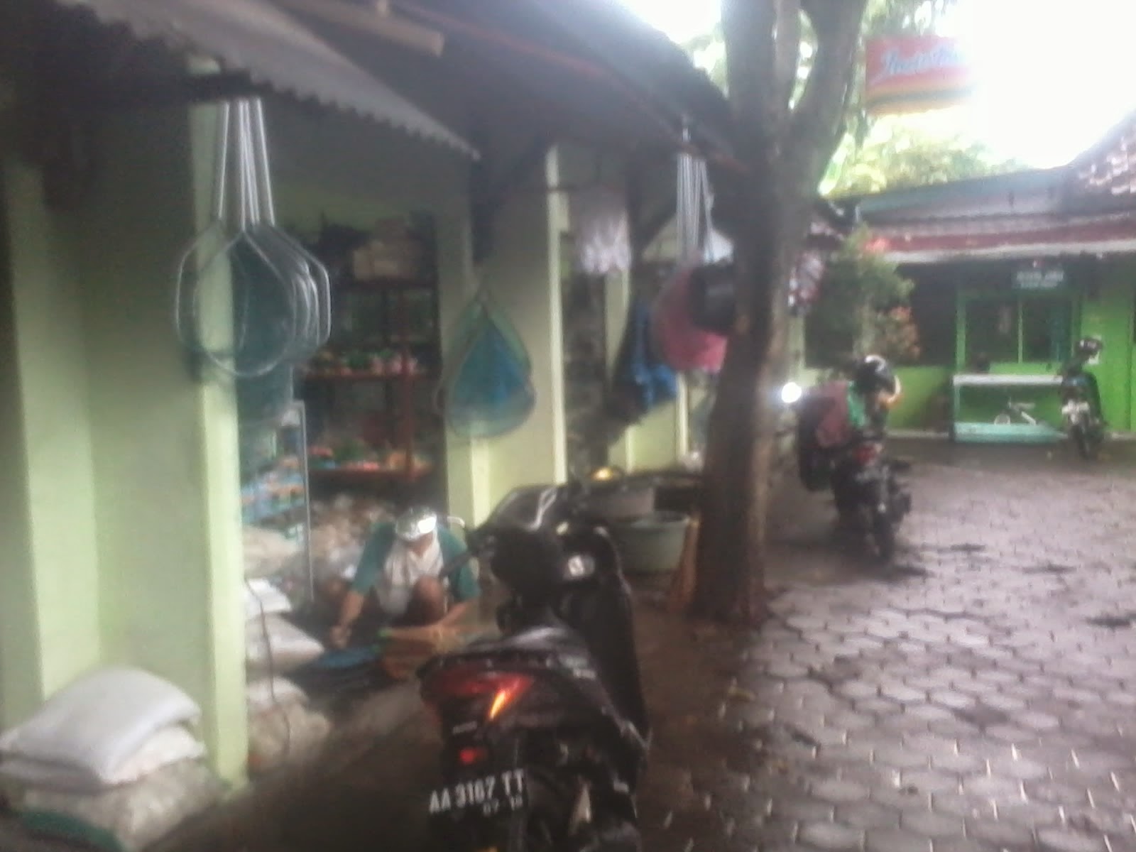 pasar pingit jogja salah satu pusat penjualan ikan hias pasar pingit jogja salah satu pusat penjualan ikan hias