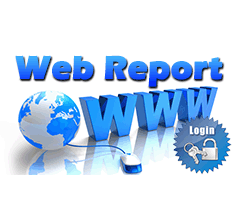 WEB REPORT