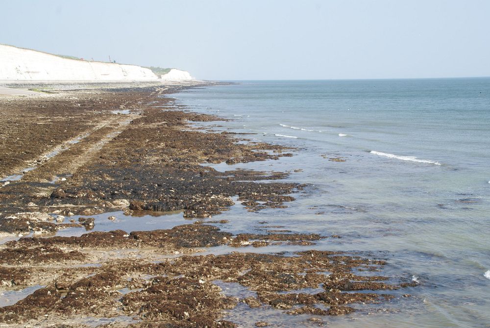 Brighton and Rottingdean Seashore Electric Railway