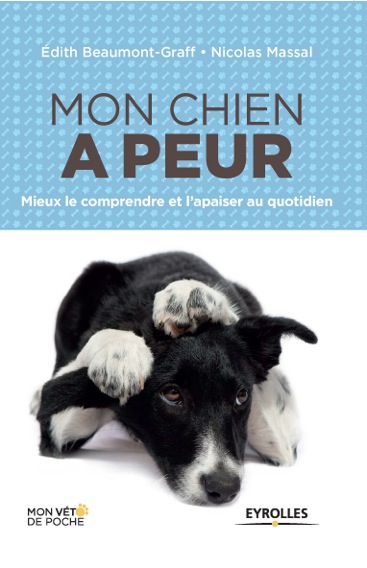 Blog 75: Infos santé animale-Comment apaiser un chien Blog 75: Infos santé animale-Comment apaiser un chien