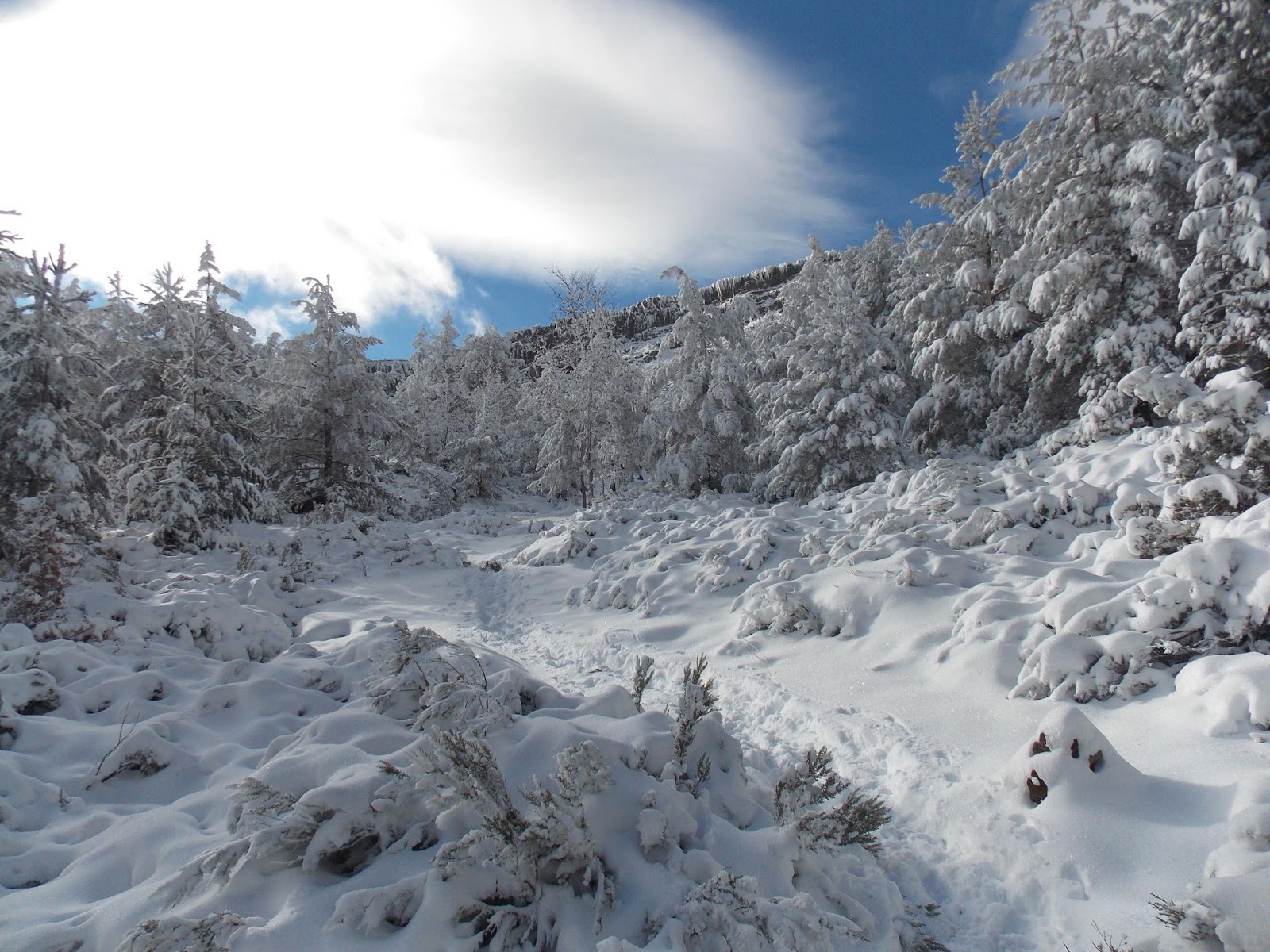 Sendas de Burgos Lagunas de Haedillo en invierno