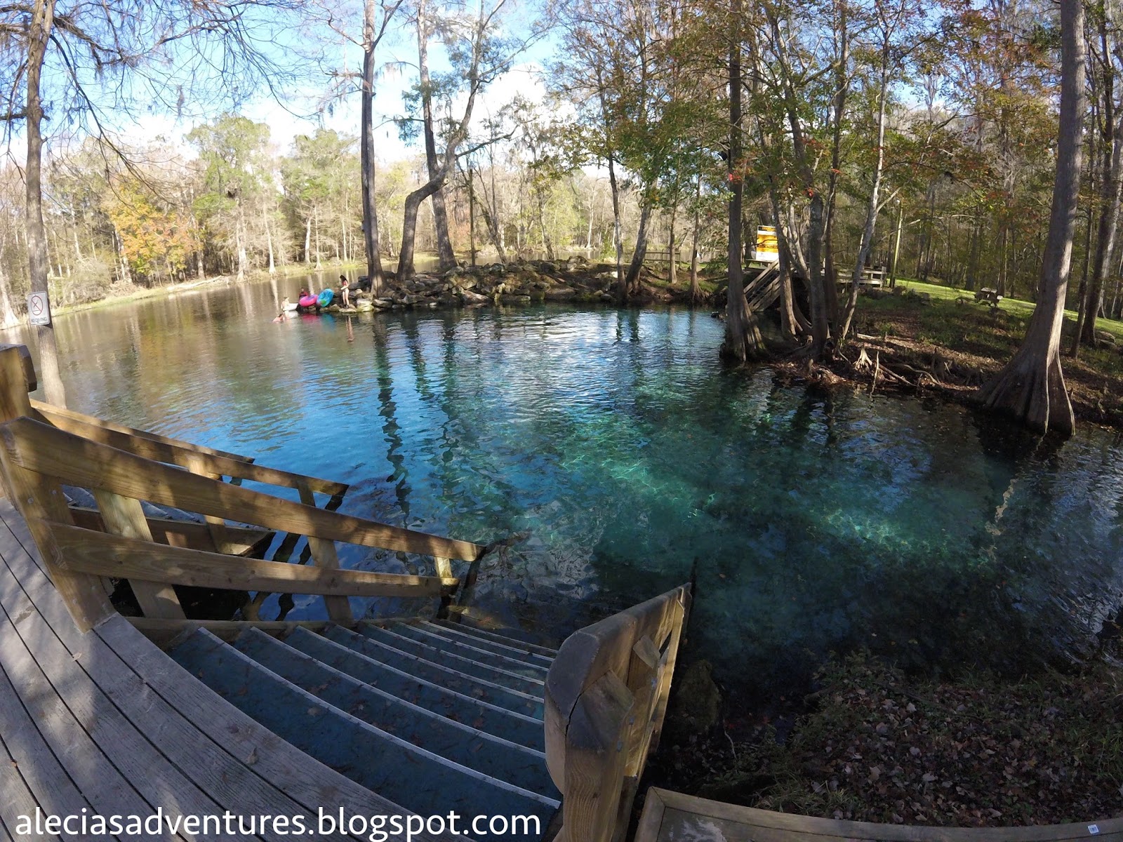 Ginnie Springs, Florida Freshwater Diving Alecia's Adventures