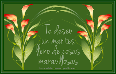 Martes feliz Banco de Imágenes Gratis: Que hoy sea para todos un día muy especial