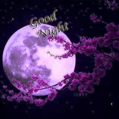 good night my dear friends