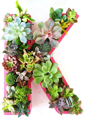 Monogram Succulents from Rooted in Succulents 