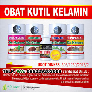 Obat Kutil Kelamin Obat Kutil Kelamin