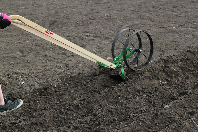 We tried out this new gardening tool. What did we think? See our verdict in the Hoss Wheel Hoe review.