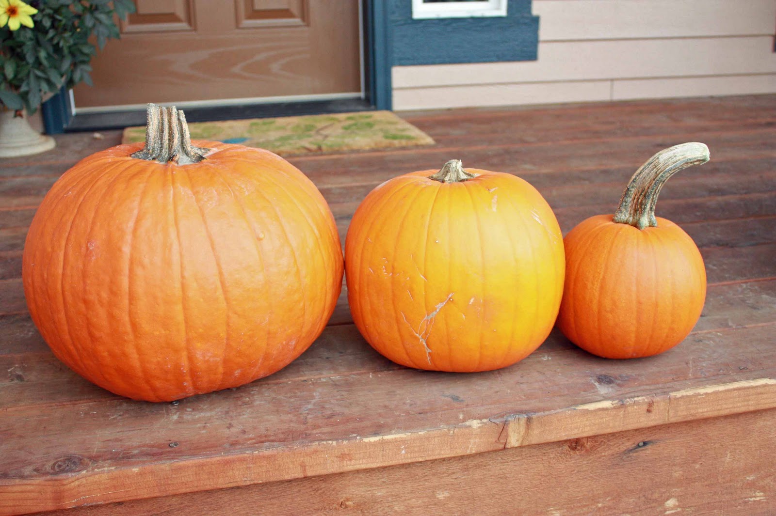 me & my scraps pumpkin topiaries
