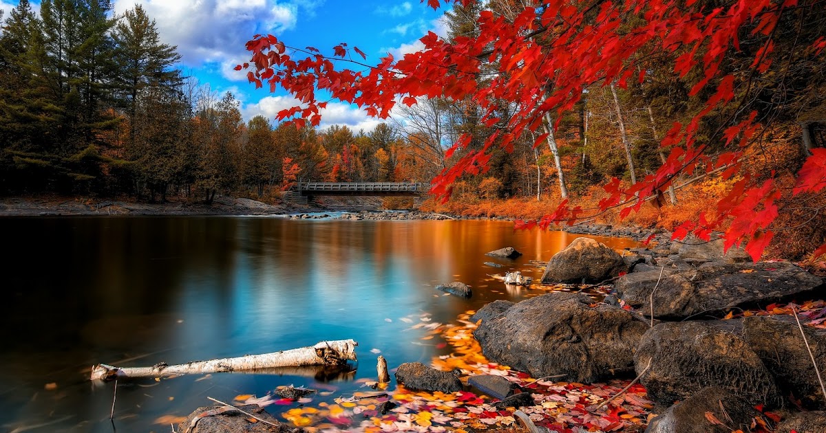 تحميل أروع خلفيات الطبيعة الساحرة 2020 Best Nature Wallpapers Hd