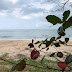 CUTI KRISMAS DI PANTAI BATU LAYAR
