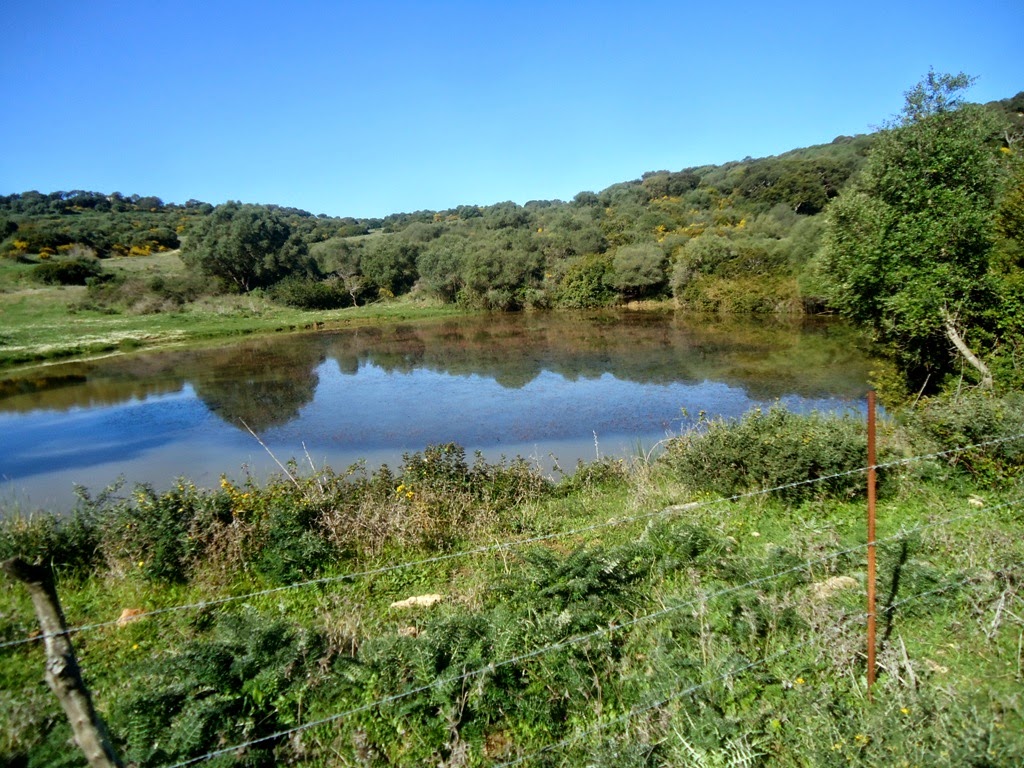 Senderismo Carlos y Petra: SENDERO FINCA LA ALCAIDESA PINAR DEL REY