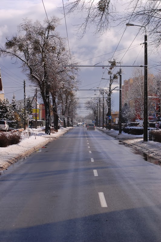 Blog jaskiniowca: Gdynia Cisowa