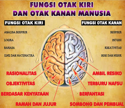 OTAK KIRI DAN OTAK KANAN
