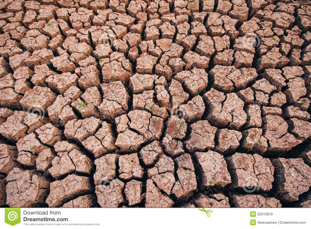 suelos aridos, secos
