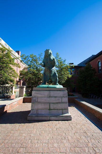 Campus dell'Università-Providence