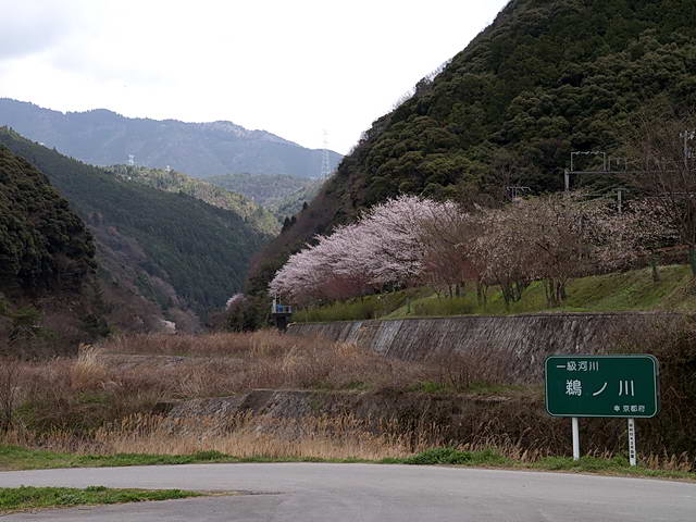 El 的blog 嵐山松籟庵天龍寺廣川鰻魚