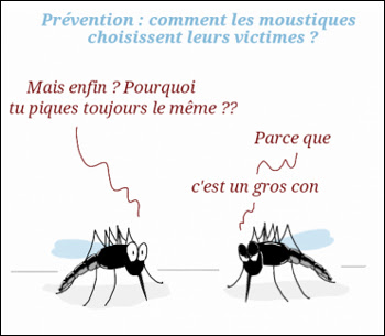Les moustiques choisissent leurs cibles Les moustiques choisissent leurs cibles