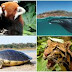 NBWL Adds 4 Species in Recovery Programme